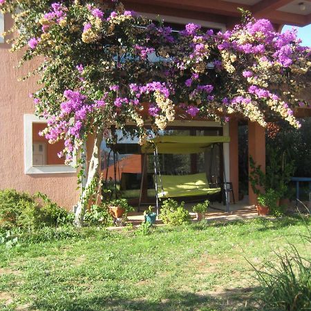 Apartman Lavanda กาลี ภายนอก รูปภาพ